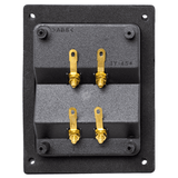 Auto-Connect L2DST