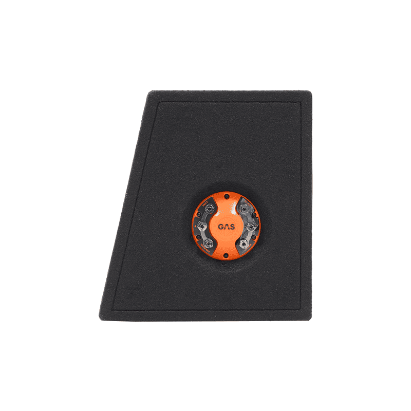 GAS Audio MAD B2-310V