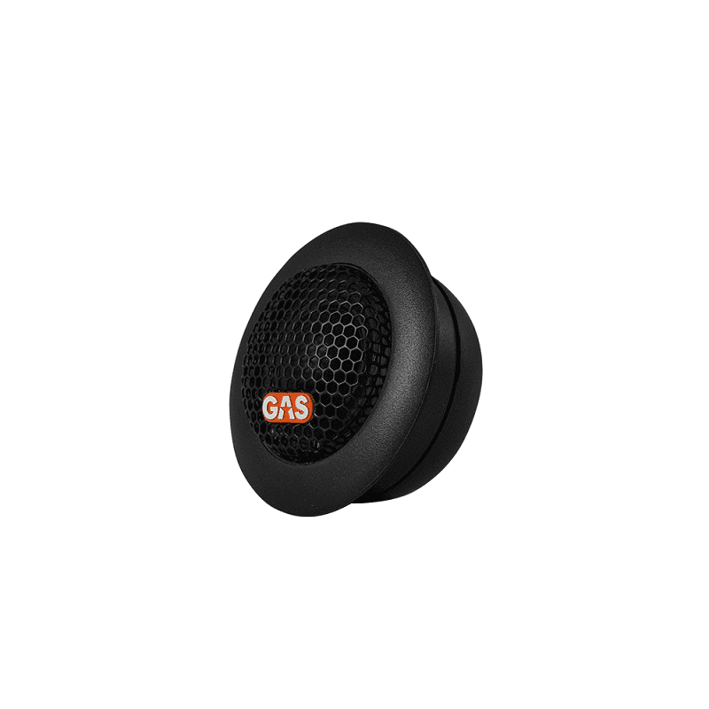 GAS Audio MAD T1-204