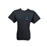 Pride Car Audio Lion T-Shirt - beflockt