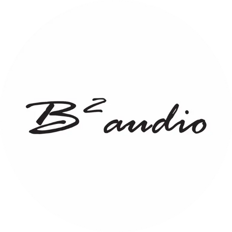 B2 Audio Verstärker