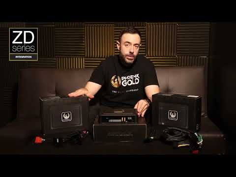 Phoenix Gold ZDA8.8 DSP